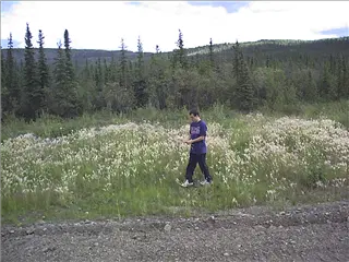 small_071899 alaskaDSC00006.webp